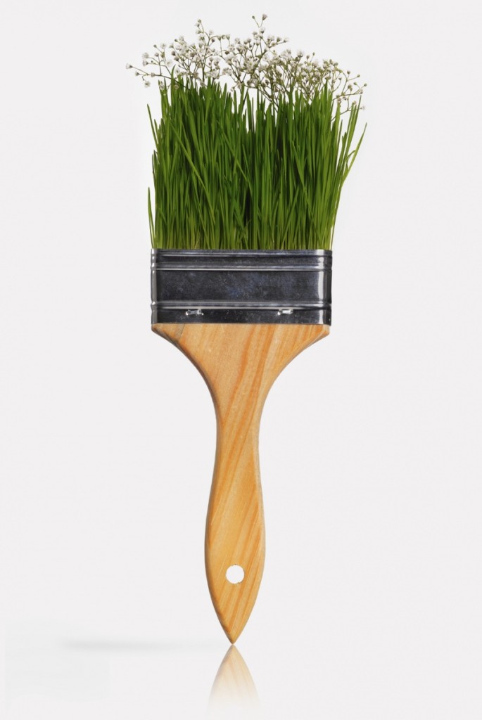 4196iStock green eco paintbrush Med 685x1024 Щетка   Brush