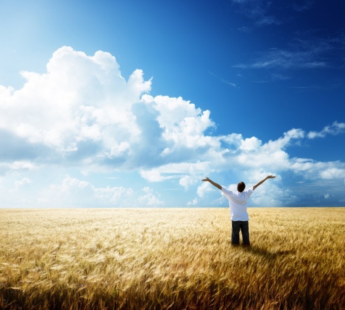 Fotolia 25722390 M 1024x921 Мужчина в поле   Man in the field