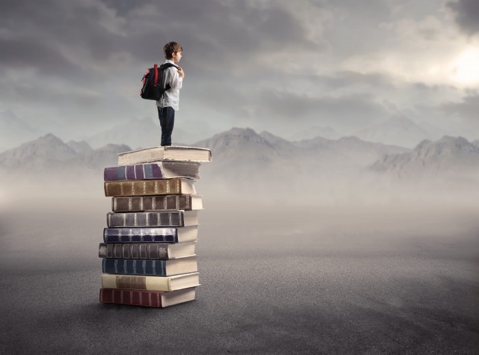 boyonbook Мальчик стоит на книгах   Boy stands on books