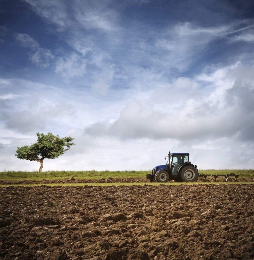 istock 000014316557medium 1002x1024 Трактор в поле   Tractor in field