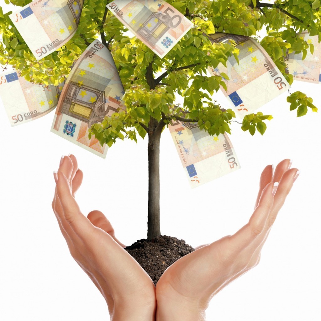 money tree 1024x1024 Евро   Euro