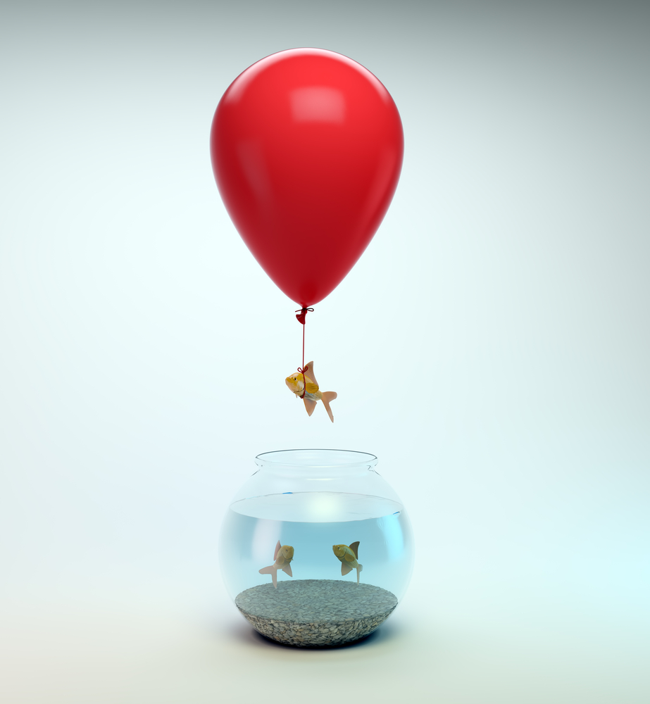 shutterstock 101339566 Аквариум и воздушный шар   Aquarium and the balloon