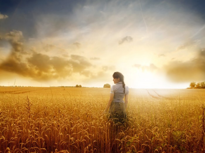 shutterstock 59347855 Девушка в поле   The girl in the field