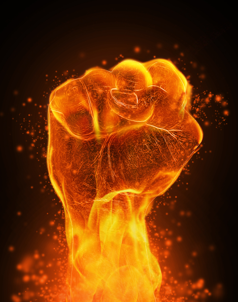 shutterstock 63455245 Кулак   Fist