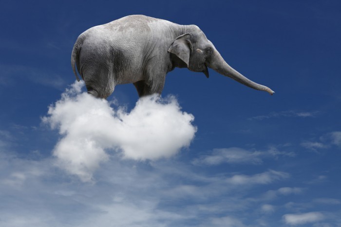 Слон на облаке - Elephant on the cloud