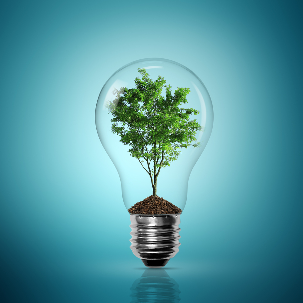 shutterstock 91957046 Дерево в лампочке   Tree in light bulb