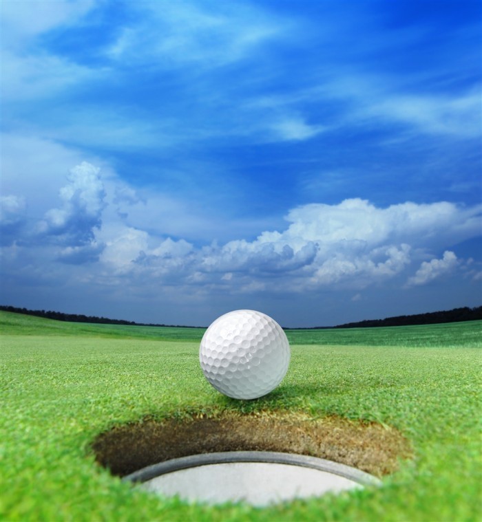 Fotolia 25598629 Subscription XL 700x759 Мяч для игры в гольф   Ball for the game of golf