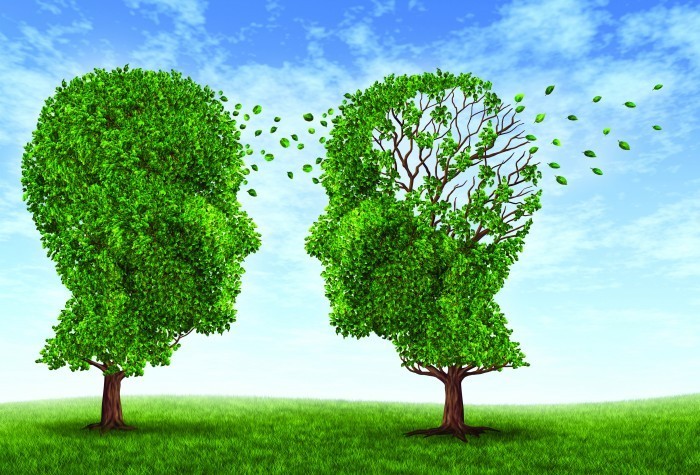 shutterstock 100688473 Два дерева в форме головы   Two trees in the shape of the head