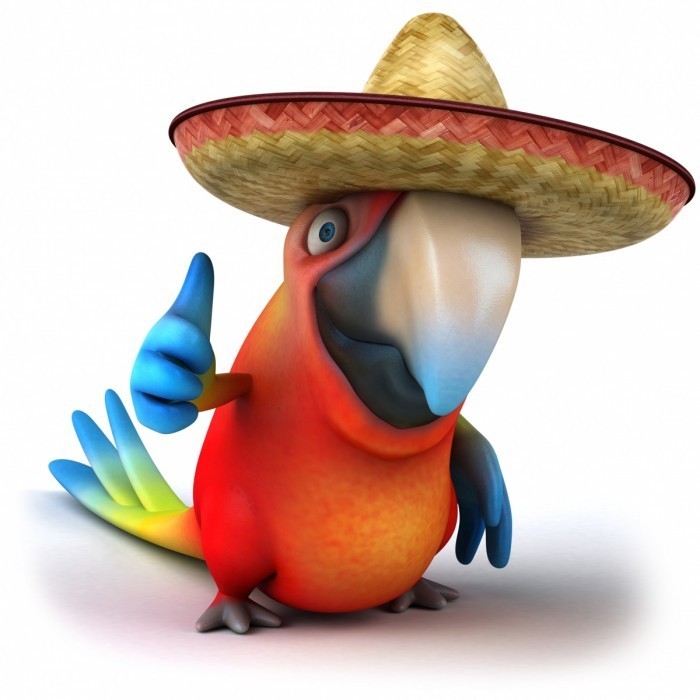 fotolia38501860l 700x700 Мультяшный попугай   Cartoon parrot