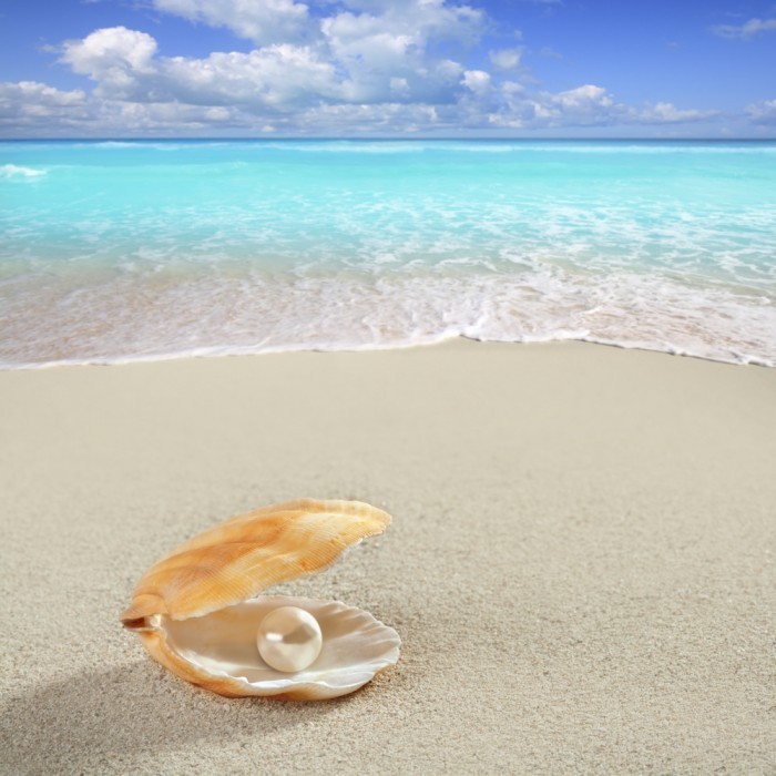 shutterstock 79965388 700x700 Жемчужина на берегу моря   Pearl of the sea