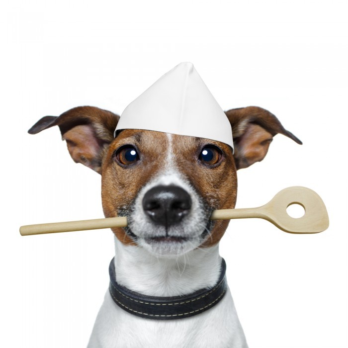 shutterstock 96532105 700x700 Собака повар   Dog chef