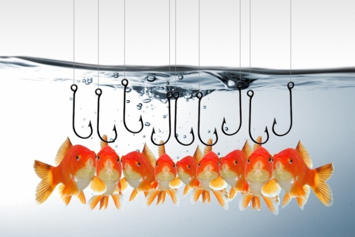 Fotolia 38355335 M 700x468 Рыбы на крючке   Fish on the hook