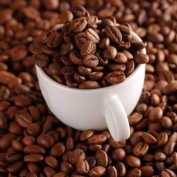 Зерна кофе - Coffee beans