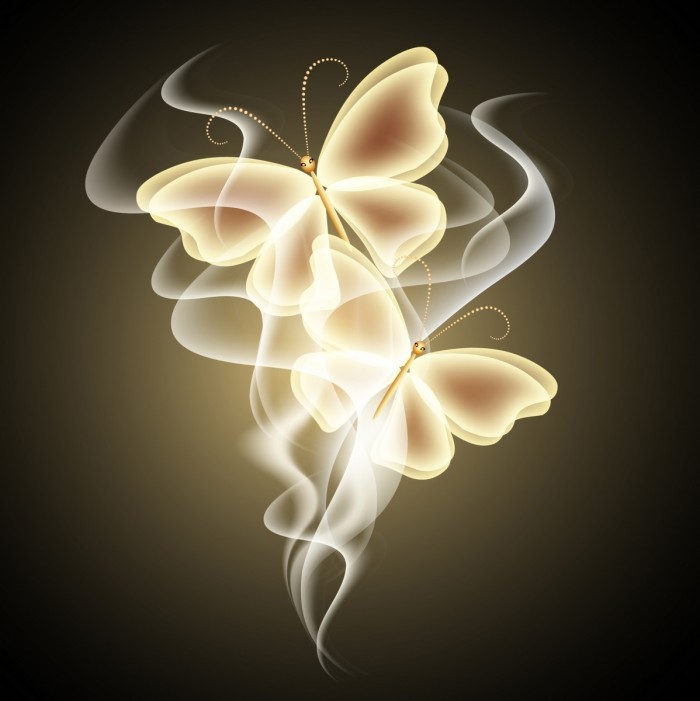 Fotolia 44629641 L 700x701 Бабочки   Butterflies