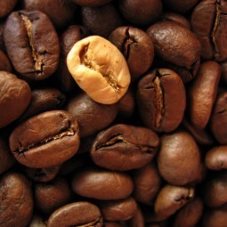 Зерна кофе - Coffee beans