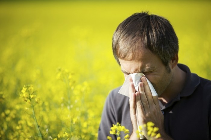 shutterstock 53303389 700x466 Аллергия   Allergy