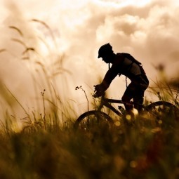 Велосипедист в закат - Cyclist at sunset