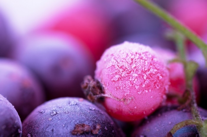 shutterstock 84073735 700x466 Сливы   Plums