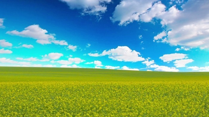 stock footage summer landscape k full hd x 700x393 Красивое поле   Beautiful field