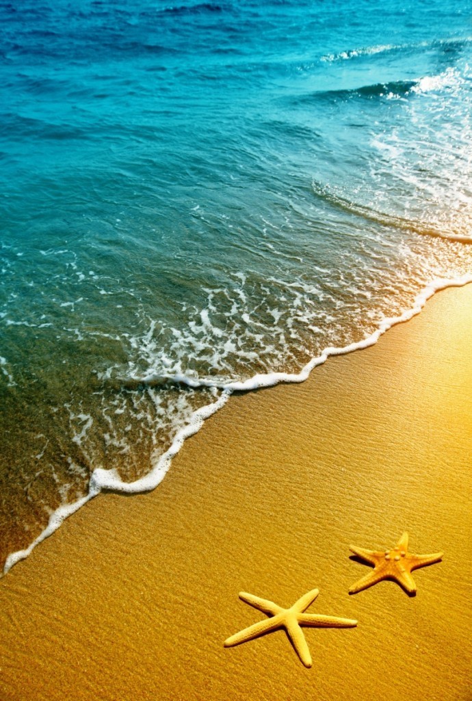 Fotolia 34962443 XXL1 690x1024 Морские звезды на берегу   Starfish on the shore