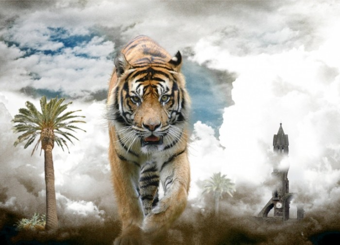 fotolia competition by themajiks d3br6do 700x504 Тигр   Tiger