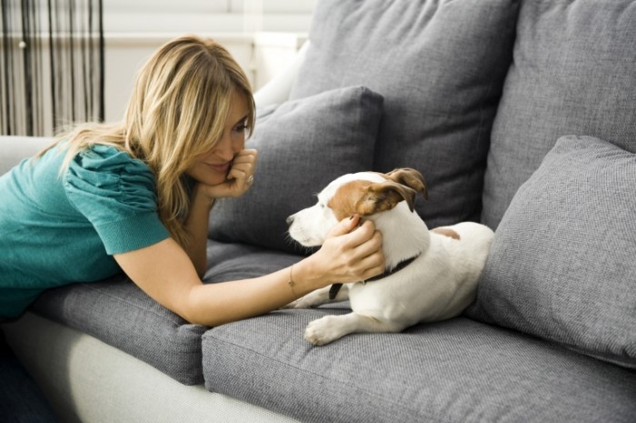 shutterstock 242113181 700x465 Девушка с собакой   Girl with dog