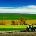 Трактор на лугу - Tractor on a meadow