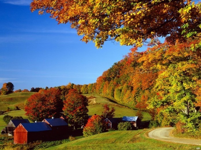 591 woodstock in autumn vermont nature wallpaper featuring autumn image 700x524 Красивый осенний пейзаж   Beautiful autumn landscape