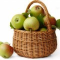 Яблоки в корзине - Apples in a basket