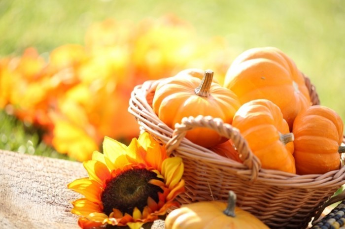 Fotolia 53958058 Subscription Monthly M 700x465 Тыква в корзине   Pumpkin in a basket