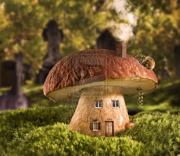 autumn home by treason1 d2ccoxt 700x604 Грибной дом   Mushroom house