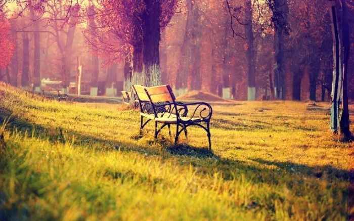 autumn landscape wide 700x437 Лавочка в парке   Bench in the park