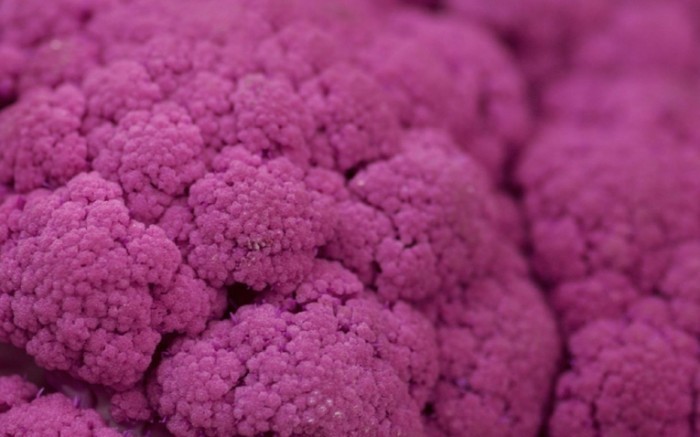 purple cauliflower ftr 700x437 Цветная капуста   Cauliflower