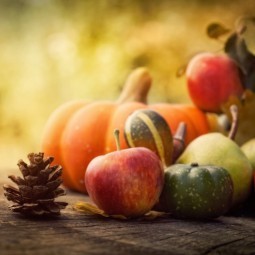 Осенний натюрморт - Autumn Still Life