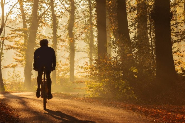 Fotolia 50888379 Subscription Monthly M 700x465 Велосипедист в лесу   Cyclist in the forest