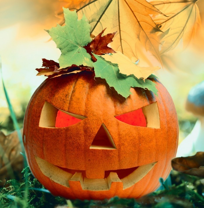 Fotolia 57323381 Subscription Monthly XXL1 700x715 Хэллоуин   Halloween