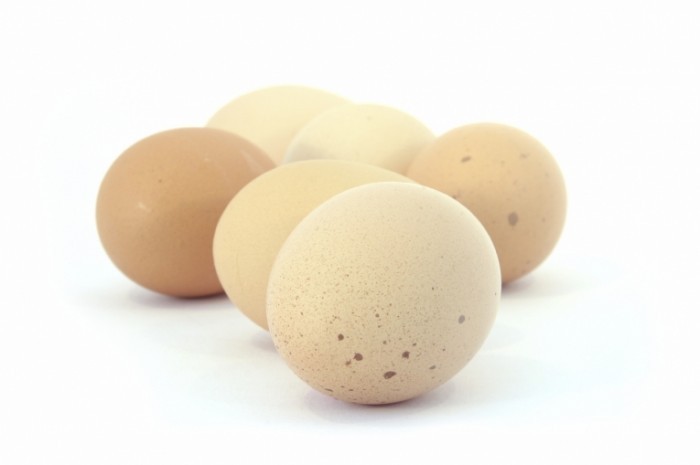 heneggshires 700x465 Куриные яйца   Chicken eggs