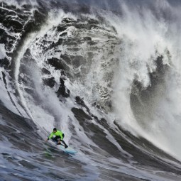 Серфинг на волнах - Surfing the waves