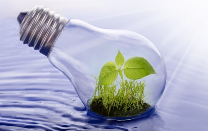 lightbulb plant water nexus istock 000020312449medium1 e1402754075877 700x443 Листик в лампе   Leaf in the lamp