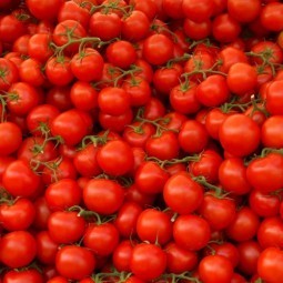 Помидоры - Tomatoes