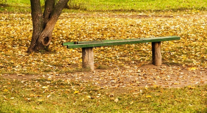 Dollarphotoclub 47324905 700x384 Лавочка в осенних листьях   Bench in autumn leaves