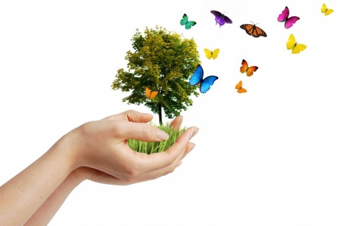 Fotolia 12301811 Subscription L 700x466 Дерево в руках   Tree in hands