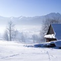 Зимний пейзаж - Winter landscape