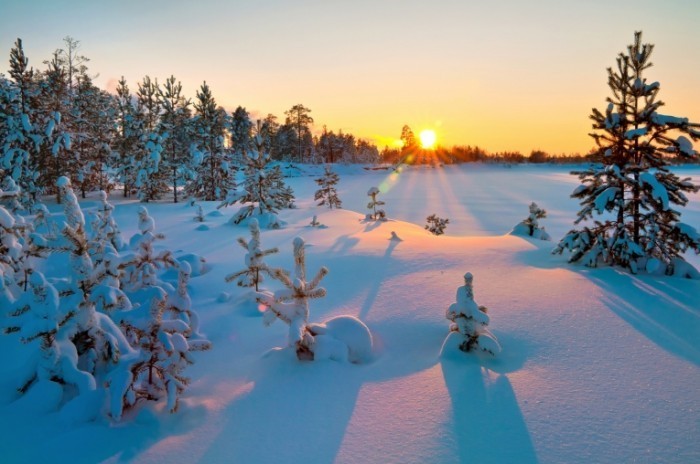 Fotolia 35937129 Subscription Monthly M 700x464 Заснеженный лес в закат   Snowy forest in the sunset