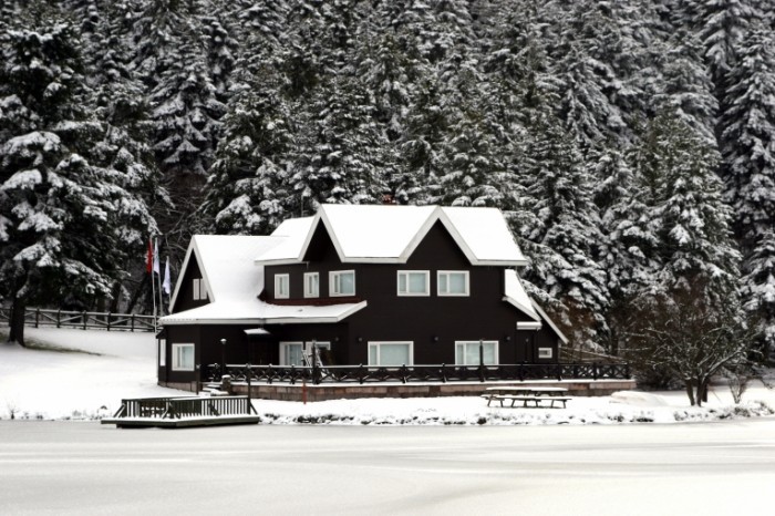 Fotolia 58833038 Subscription L 700x466 Дом среди елок   House among the trees