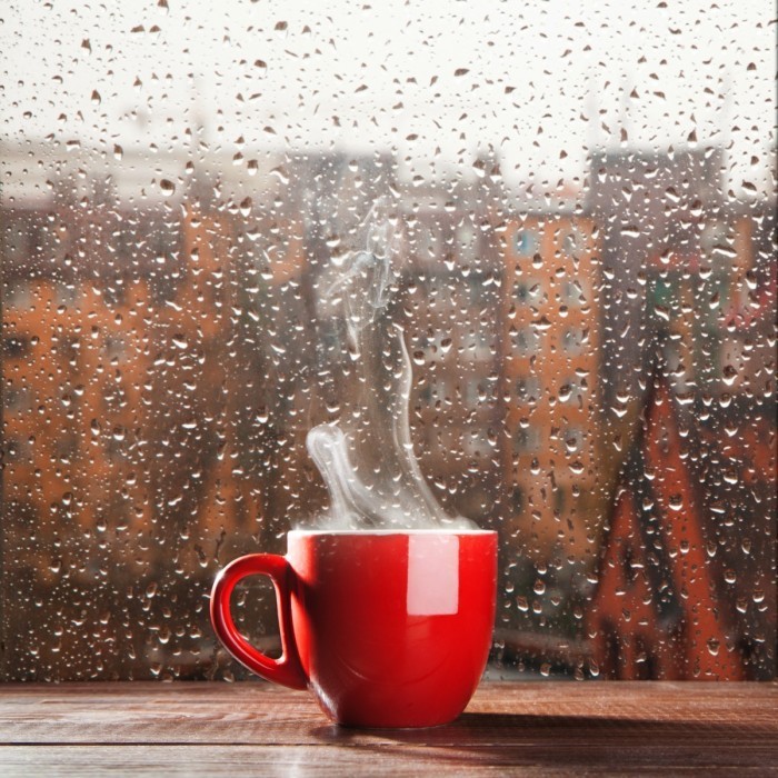 shutterstock 161979761 700x700 Чашка у окна   Cup window