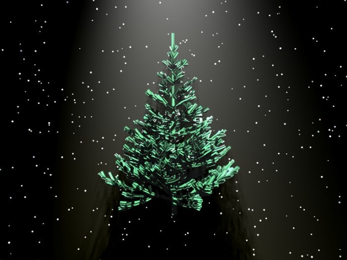 shutterstock 590169 700x524 Елка   Fir tree