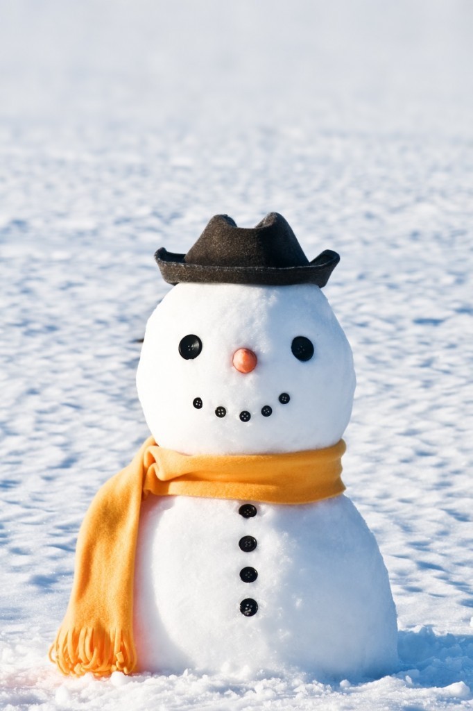 shutterstock 65487973 682x1024 Снеговик   Snowman