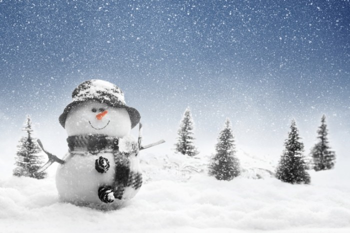 shutterstock 85379488 700x466 Снеговик   Snowman