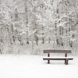 Лавочка в снегу - Bench in the snow